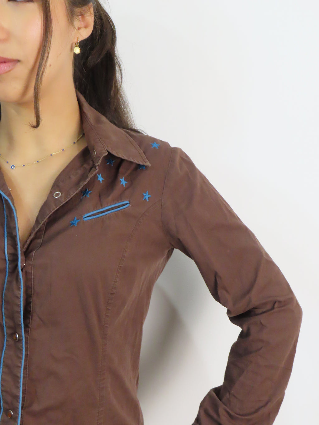 Vintage Brown Western Shirt
