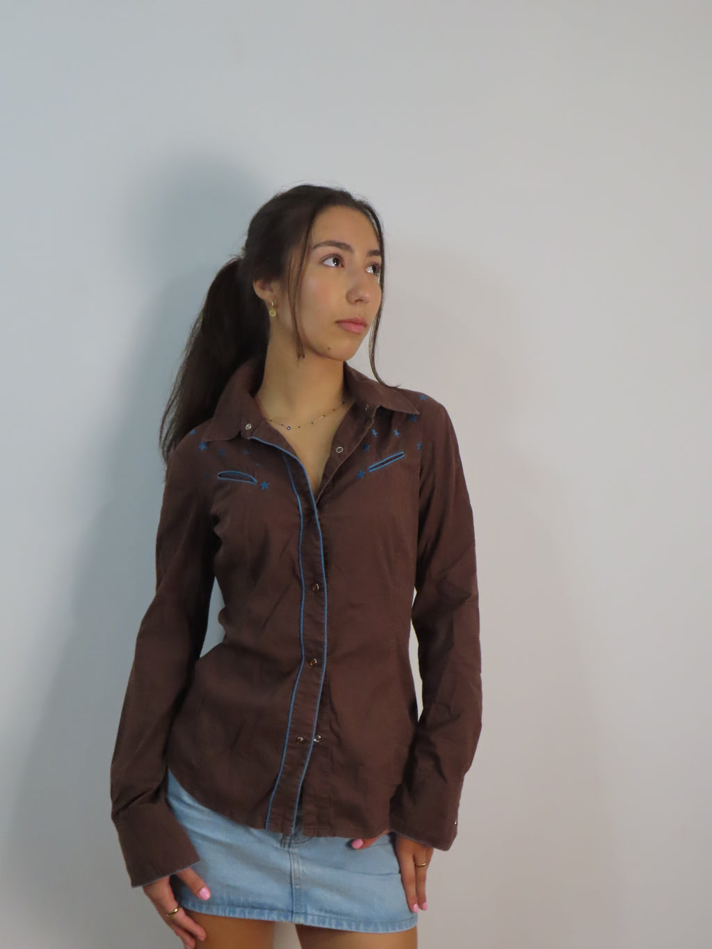 Vintage Brown Western Shirt