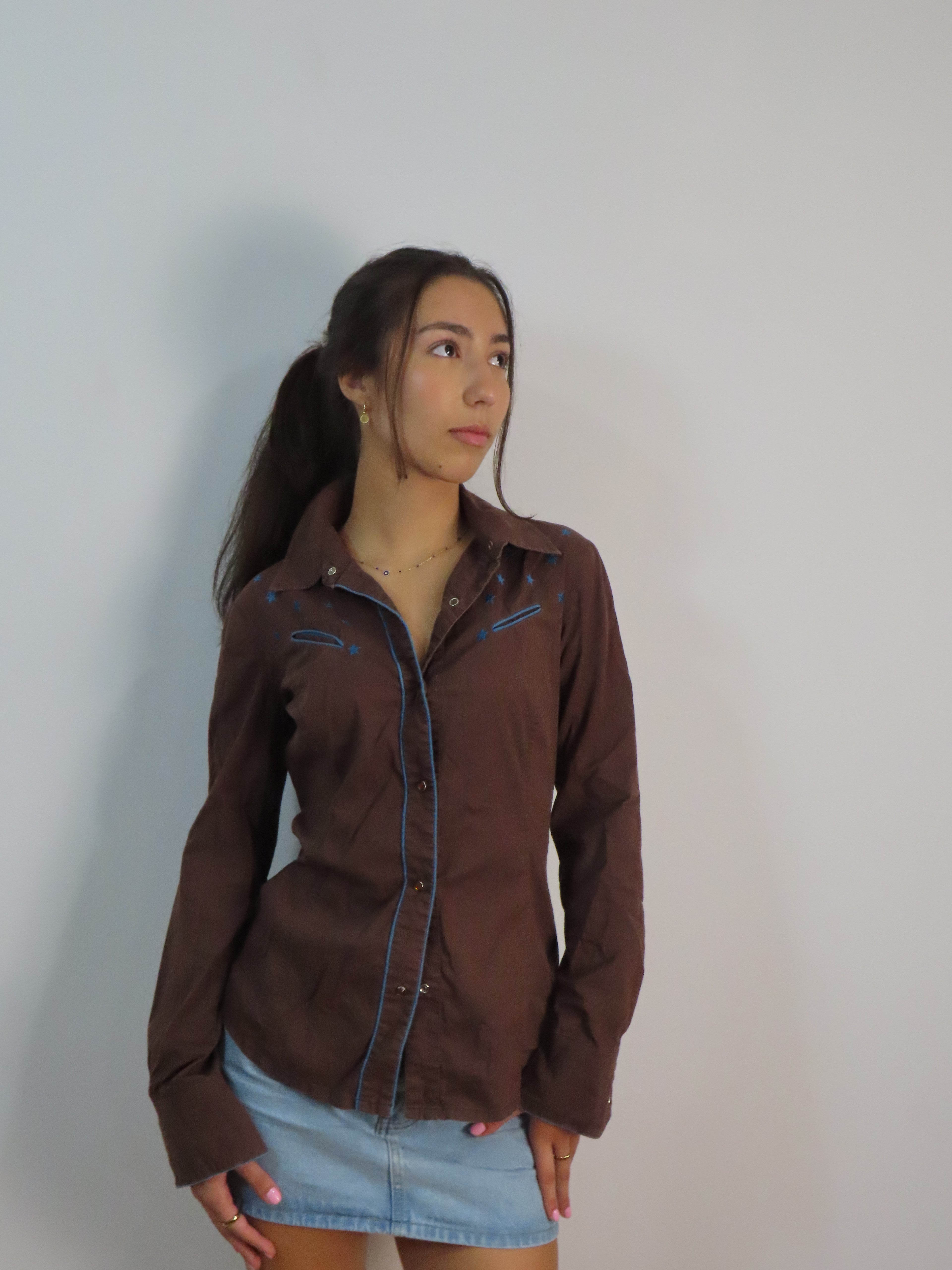 Vintage Brown Western Shirt
