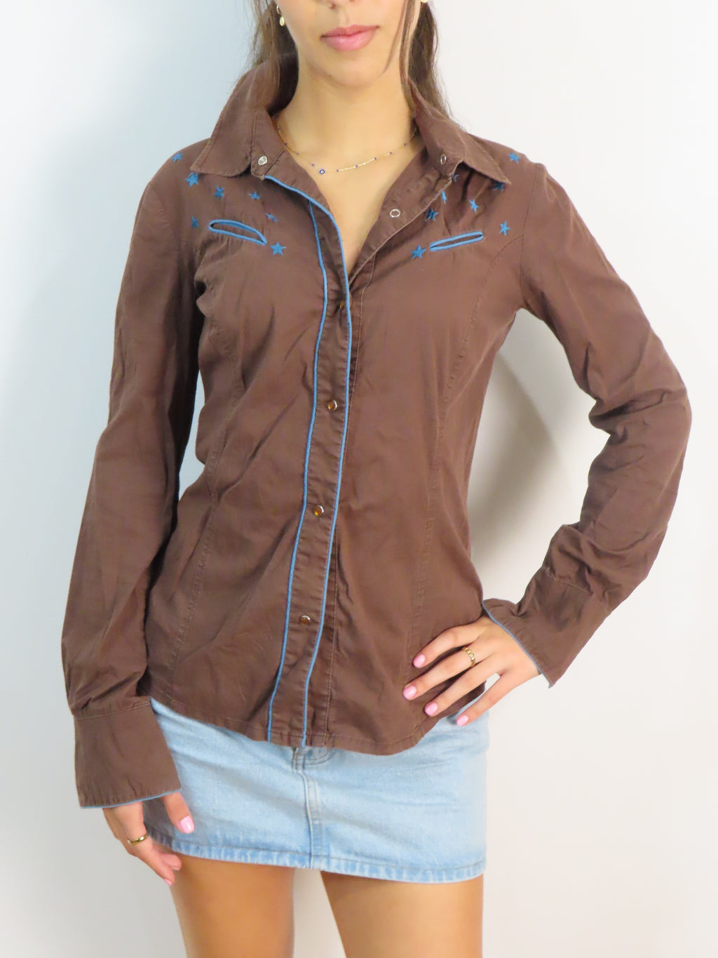 Vintage Brown Western Shirt